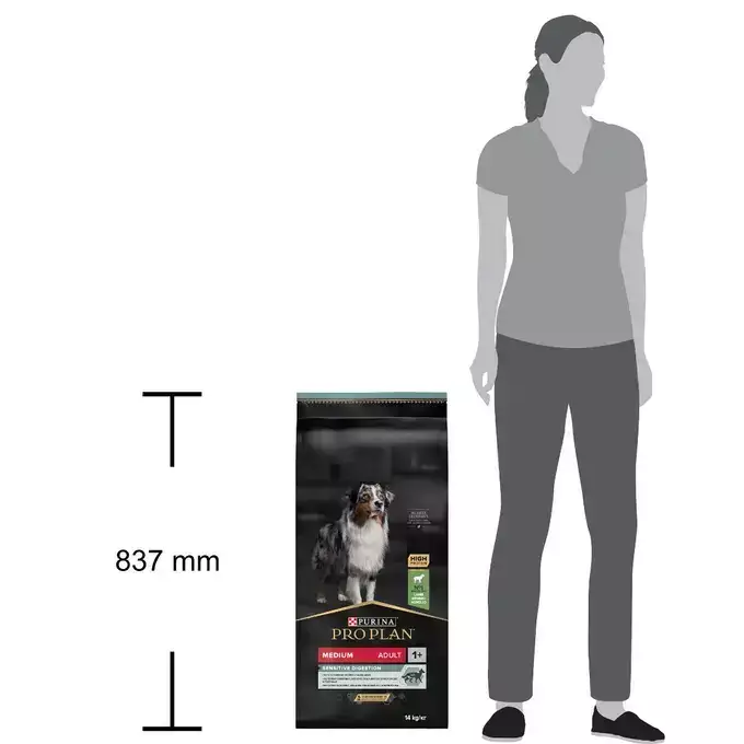 Sensitive Digestion Kuzu Etli Köpek Maması 14 Kg - 2