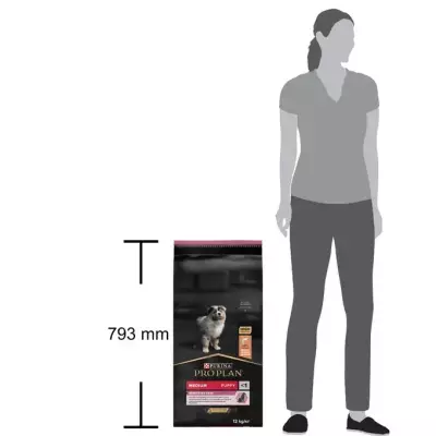 Sensitive Skin Somonlu Yavru Köpek Maması 12 Kg - 2